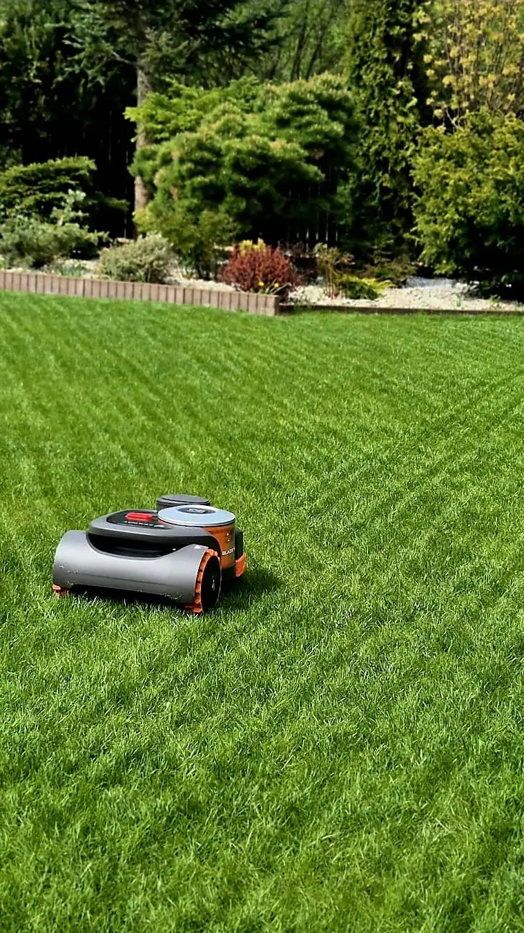 Robot Navimow i równo skoszony trawnik w pasy