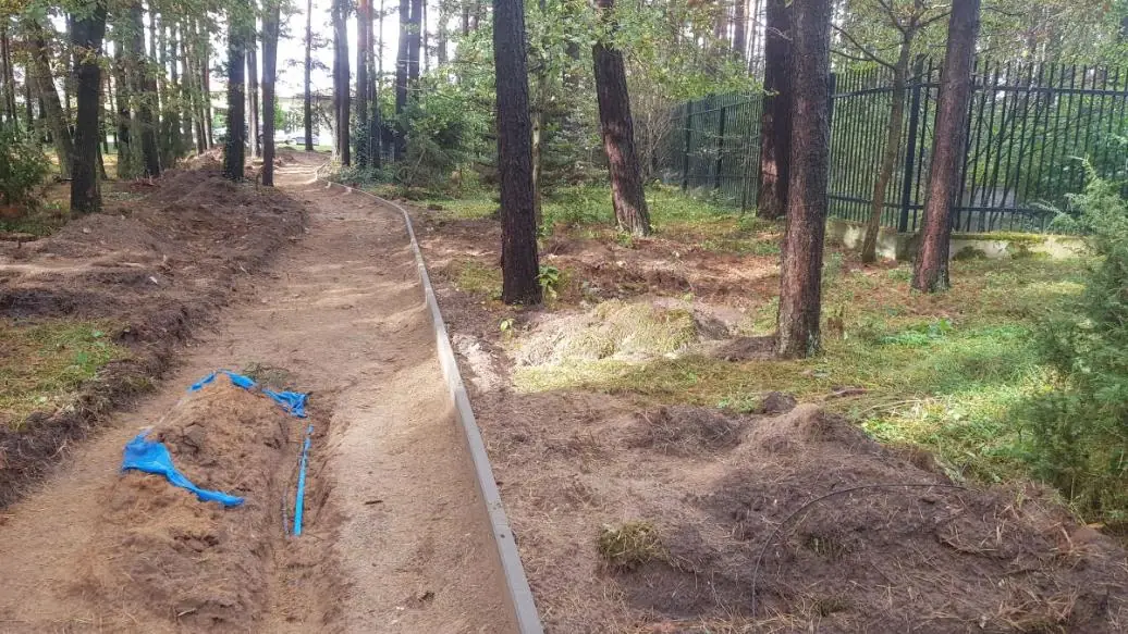 Wytyczona ścieżka w lesie – obrzeża i podbudowa