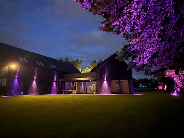 Nocne oświetlenie ogrodu i elewacji – reflektory przy drzewach
