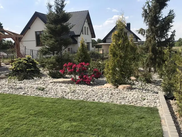 Ogród z iglakami, rododendronami i kamieniem przy domu