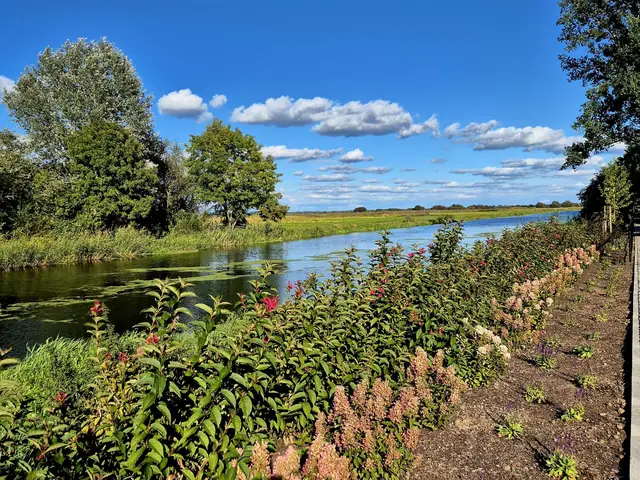 Nowe nasadzenia na skarpie nad rzeką