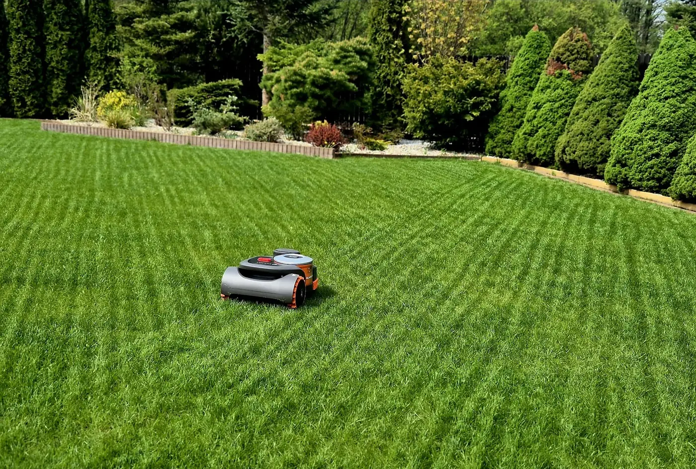 Dziś: Wtedy siew trawy ręcznym siewnikiem. Dziś trawnik, który kosi robot Segway Navimow.