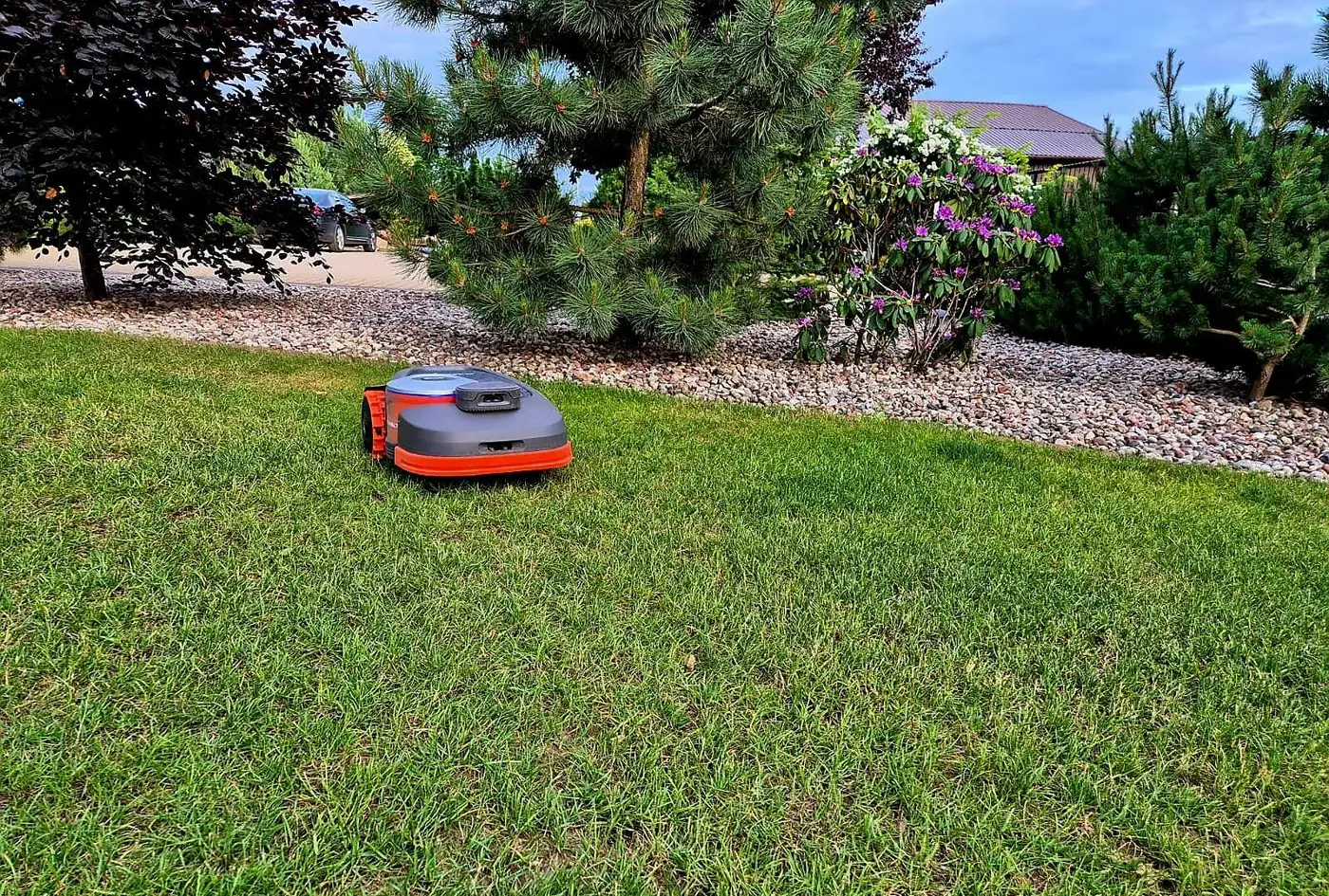 Robot Segway Navimow w ogrodzie z sosnami