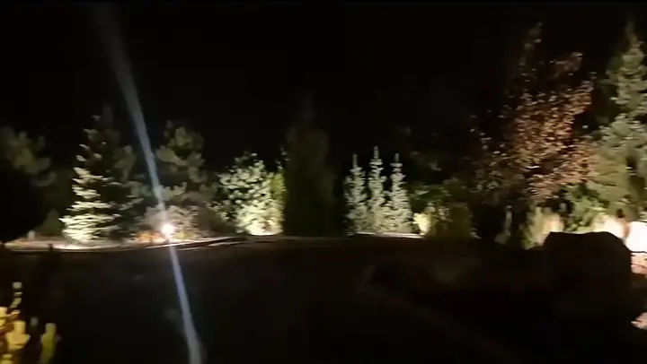 Lampy ogrodowe przy rabacie z iglakami