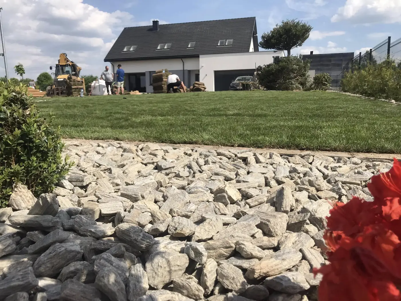 Trawa z rolki ułożona przy rabacie z kamieniem