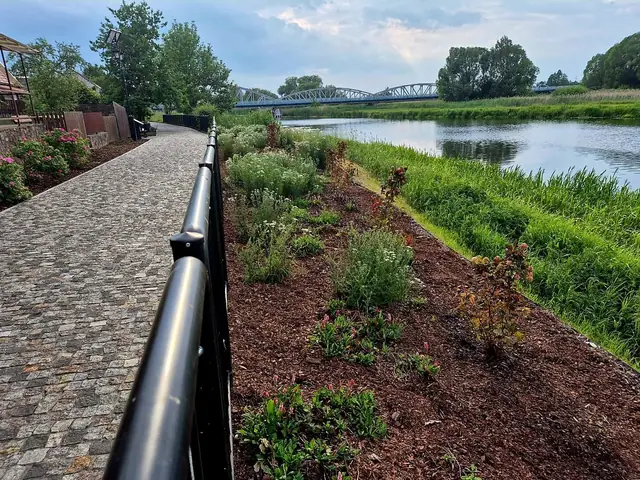 Ścieżka z balustradą wzdłuż rzeki