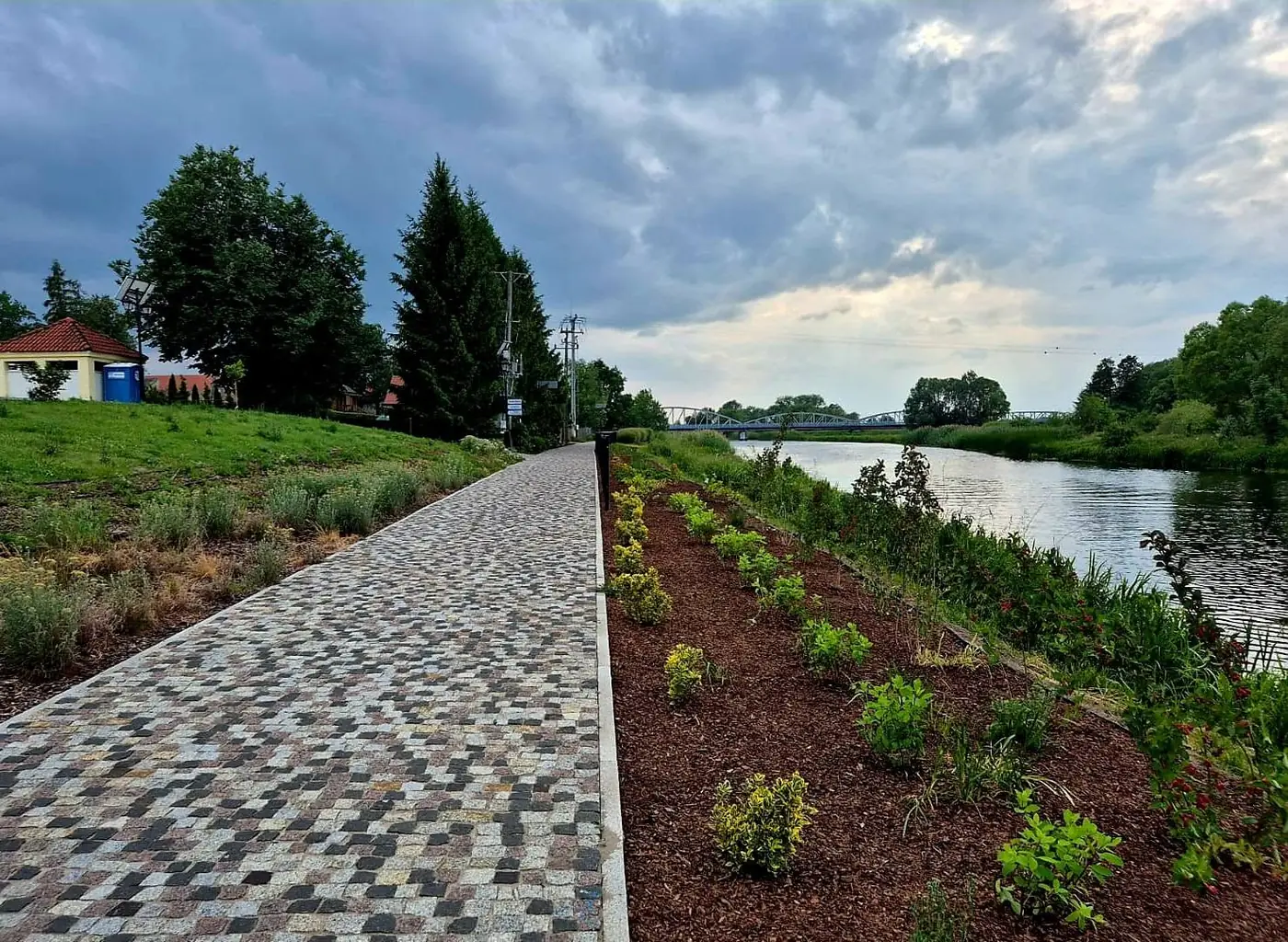Nowe nasadzenia na skarpie wzdłuż ścieżki nad rzeką