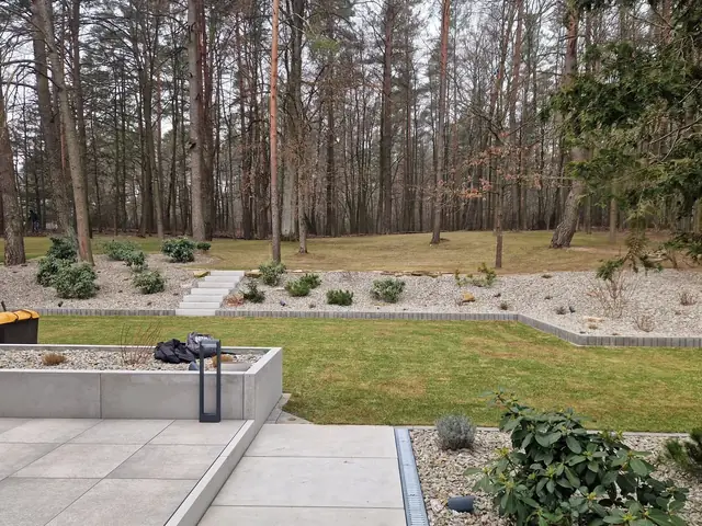 Ścieżka z jasnych płyt wielkoformatowych wśród sosen