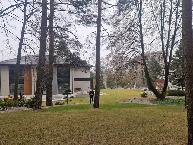 Wiosenne prace w ogrodzie wśród sosen