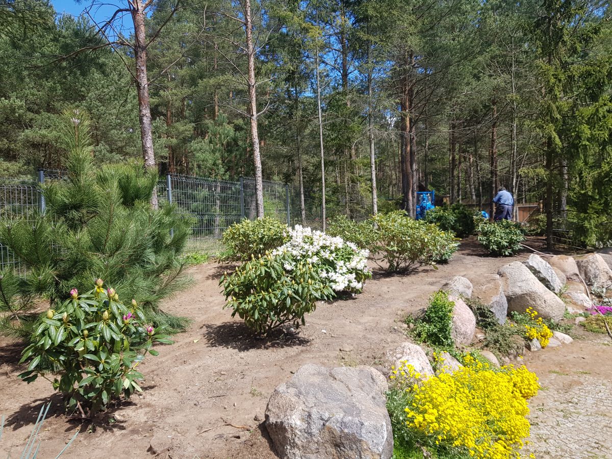 Ogrody Dworakowscy Choroszcz, Białystok i okolice | Zakładanie ogrodów, Pielęgnacja ogrodów, Nawadnianie ogrodów (trawników), Usługi brukarskie, Projektowanie ogrodów