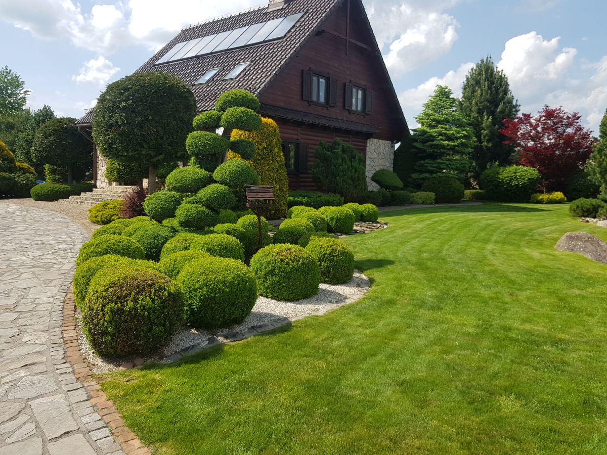 Ogrody Dworakowscy Choroszcz, Białystok i okolice | Zakładanie ogrodów, Pielęgnacja ogrodów, Nawadnianie ogrodów (trawników), Usługi brukarskie, Projektowanie ogrodów
